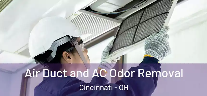 Air Duct and AC Odor Removal Cincinnati - OH