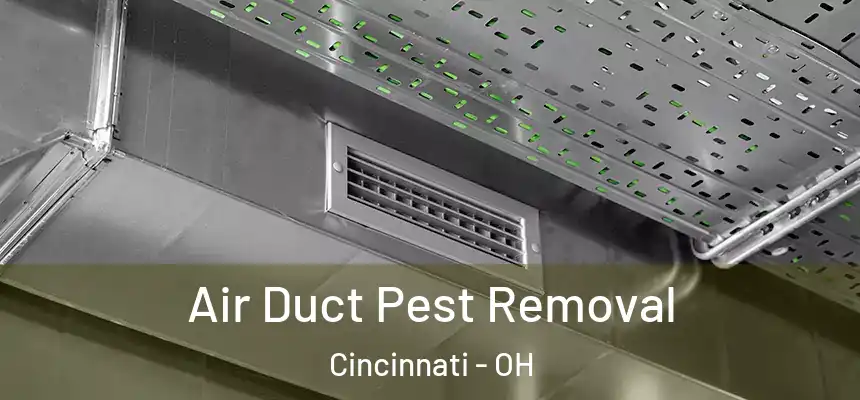 Air Duct Pest Removal Cincinnati - OH