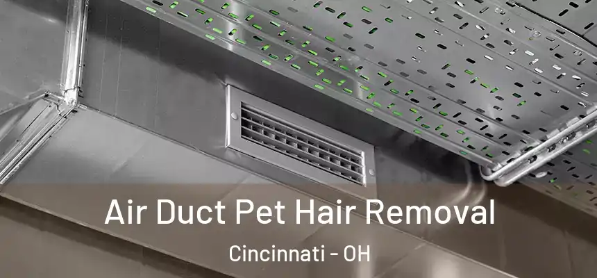 Air Duct Pet Hair Removal Cincinnati - OH