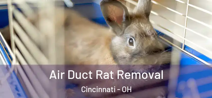  Air Duct Rat Removal Cincinnati - OH