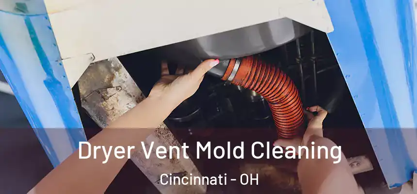 Dryer Vent Mold Cleaning Cincinnati - OH