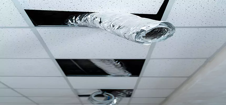 Affordable HVAC Sanitizing After Pest Removal in Cincinnati