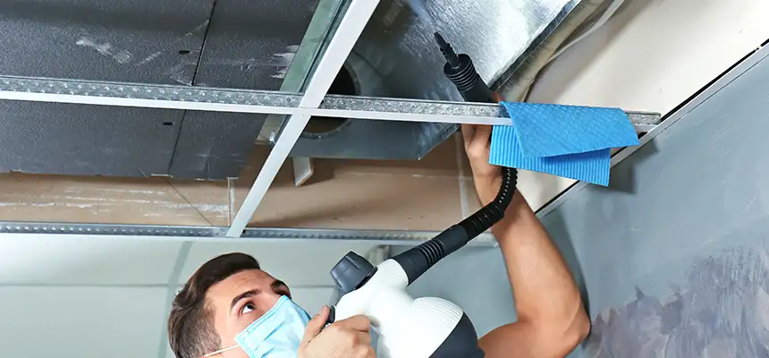 Our Air Duct Rodent Removal Services in Cincinnati, OH
