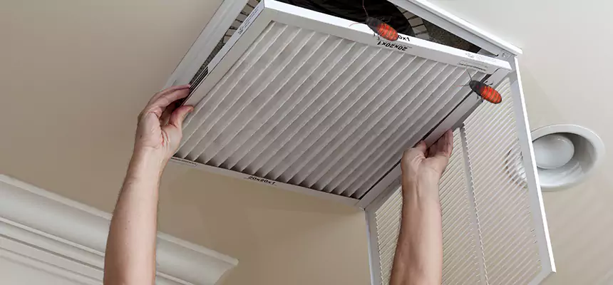 Our Insect Removal from Air Ducts Services in Cincinnati, OH