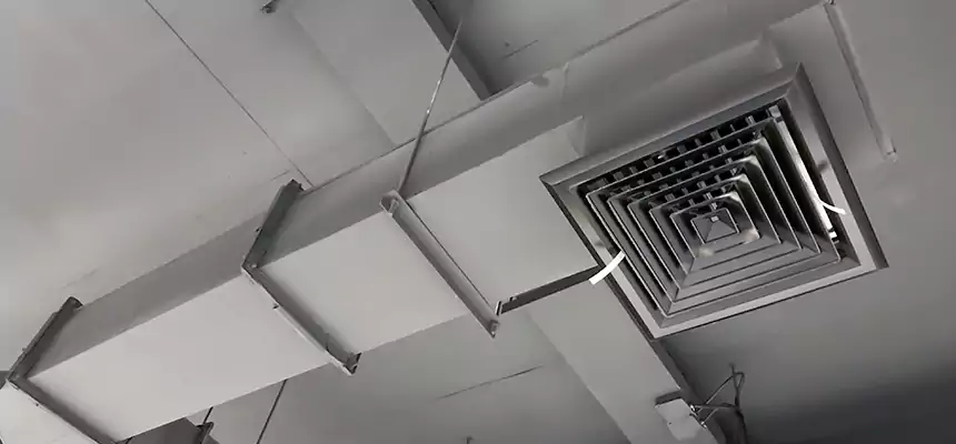 Our Rodent Droppings In Vents Services in Cincinnati, OH