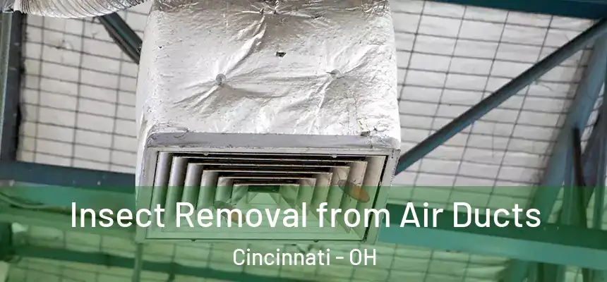 Insect Removal from Air Ducts Cincinnati - OH
