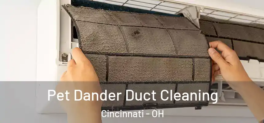 Pet Dander Duct Cleaning Cincinnati - OH