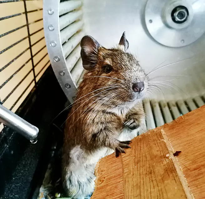 Why Homeowners & Businesses Trust Us Cincinnati, OH