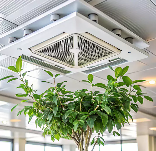 Why Homeowners & Businesses Trust Us in Cincinnati, OH